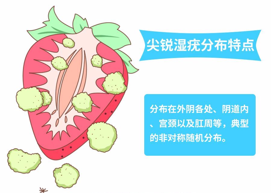 长了小肉疙 长了小肉疙