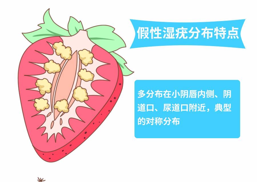长了小肉疙 长了小肉疙