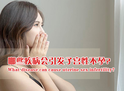 美中商都