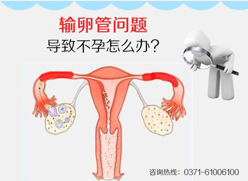 美中商都