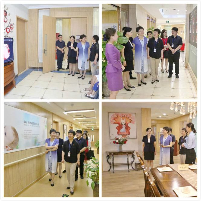 河南省妇联主席郜秀菊莅临美中商都妇产医院检查指导工作