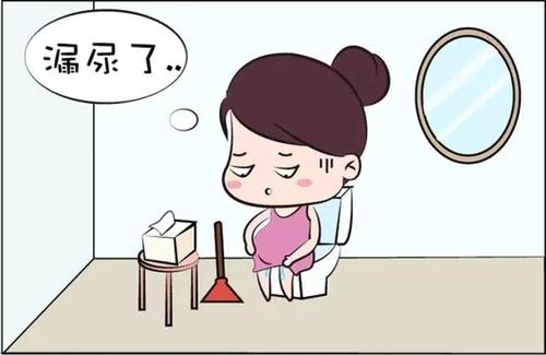 尿失禁漏尿的分类都有什么