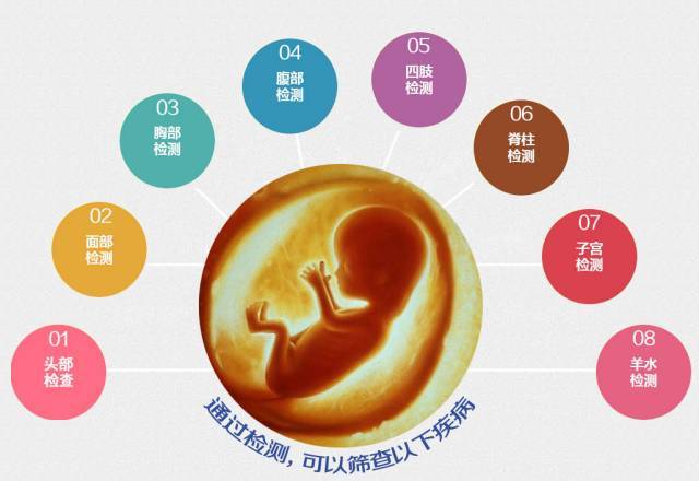 四维彩超都检查什么