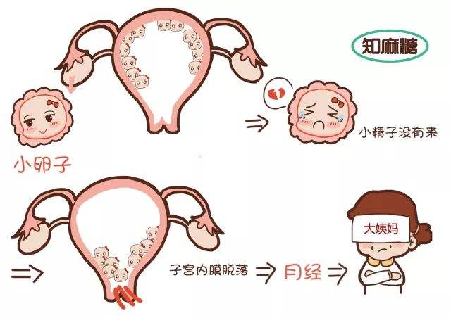 做无痛人流安全知识